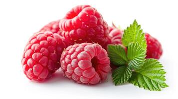 AI generated raspberry on isolated white background. photo