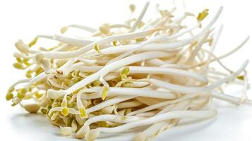 AI generated Bean sprouts on isolated white background. photo