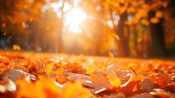 AI generated orange fall leaves in park, sunny autumn natural background photo