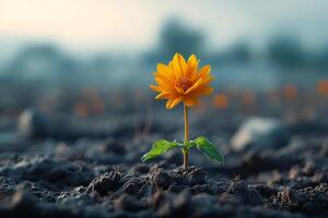 AI generated Natures optimism Flower emerges from dry soil, symbolizing hope photo