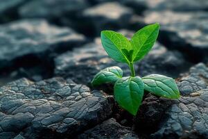 AI generated Natures resilience Green plant breaks through stones, symbolizing growth photo