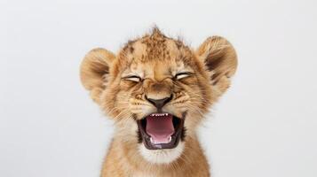 AI generated Happy little lion, white background, photo