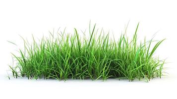 AI generated green grass field isolated on white background photo