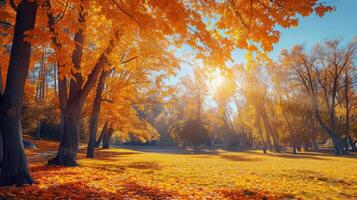 ai generado otoño escena. brillante vistoso paisaje amarillo arboles en otoño parque. otoño naturaleza. foto