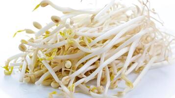 AI generated Bean sprouts on isolated white background. photo