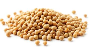 AI generated Soybean on isolated white background. photo