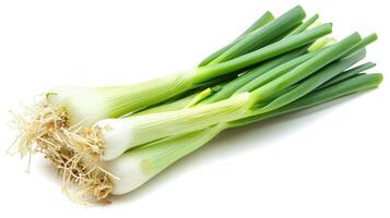 AI generated Leek on isolated white background. photo