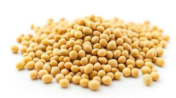 AI generated Soybean on isolated white background. photo