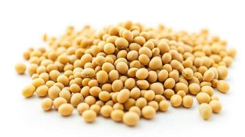 AI generated Soybean on isolated white background. photo