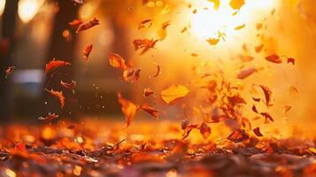 AI generated Lively closeup of falling autumn leaves with vibrant backlight from the setting sun photo