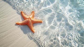 AI generated Starfish on the sand beach in clear sea water. Summer background. Summer time .Copy space. Relaxing on the beach. photo