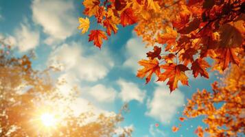 AI generated Autumn landscape. Autumn tree leaves sky background. photo