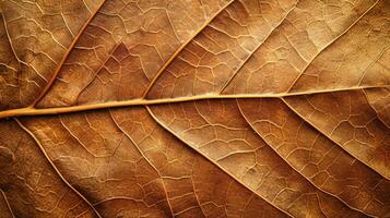 AI generated close up brown leaf texture photo