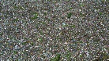 aereo fuco Visualizza di il spazzatura galleggiante su il drina fiume nel bosnia e erzegovina. plastica rifiuto e fiume inquinamento. isola di spazzatura. ambientale problema. prendere azione per proteggere il pianeta. video