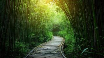 ai generado camino vientos mediante un bambú bosque foto