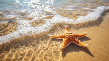 AI generated Starfish on the sand beach in clear sea water. Summer background. Summer time .Copy space. Relaxing on the beach. photo