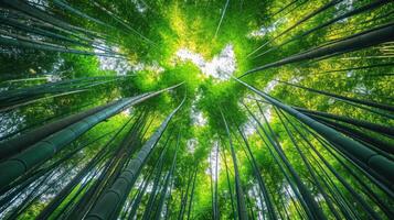 AI generated Low angle view of trees growing in bamboo grove photo