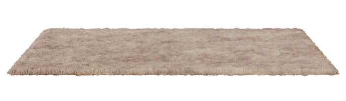 Plush beige rectangular carpet with a detailed soft texture, perfect for modern home interiors, on transparent background. Cut out home decor. Front view. 3D render png