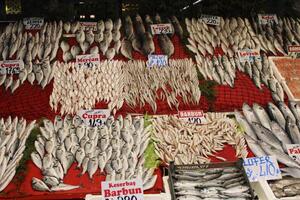 Fresh fish at the fish stall photo