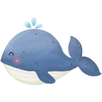 mare animali così carino png