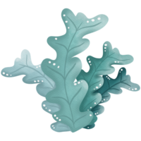 Coral undersea watercolor so cute png