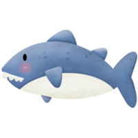 mare animali acquerello così carino png