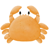 mare animali così carino png