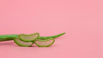 Fresh aloe vera leaves and slices on pastel pink background for Health and beauty products. photo