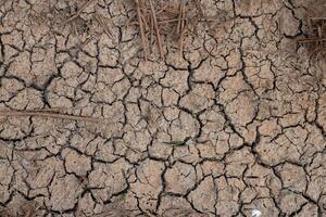 Arid land, cracking. Concept of environmental preservation and global warming photo