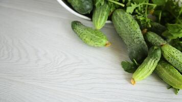 fresh organic cucumbers with herbs on a wooden table video