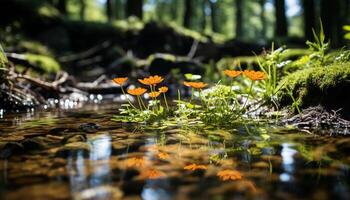 AI generated Green leaves and yellow flowers reflect in pond generated by AI photo