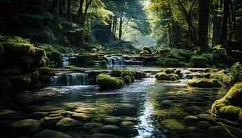 AI generated Tranquil scene of flowing water in a forest generated by AI photo