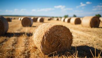 AI generated Golden haystacks dot the rural meadow landscape generated by AI photo