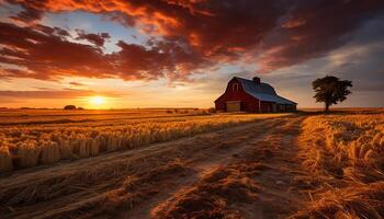 ai generado puesta de sol terminado un rústico granja, naturaleza tranquilo belleza generado por ai foto