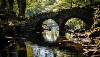 AI generated Tranquil scene of a green forest reflecting generated by AI photo