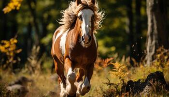 AI generated Running stallion in the meadow, freedom in nature generated by AI photo