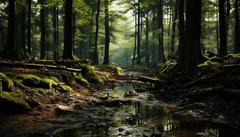 AI generated Tranquil scene of a wet forest in autumn generated by AI photo