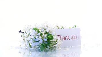 gracias usted tarjeta y floreciente primavera rama con flores aislado en blanco antecedentes video