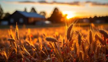 ai generado puesta de sol terminado rural granja, naturaleza belleza en prado generado por ai foto