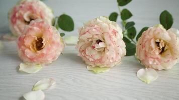 bouquet of beautiful roses on a wooden table video