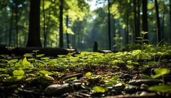 ai generado caminando mediante el tranquilo bosque, rodeado por verde generado por ai foto