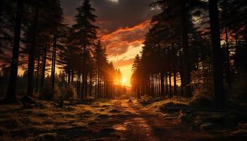 AI generated Sunset over the forest, nature vibrant beauty generated by AI photo