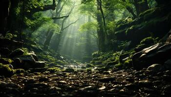 ai generado misterioso niebla mantas tranquilo bosque, revelador oculto belleza generado por ai foto