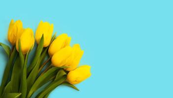 Banner. Bouquet of beautiful yellow tulips on a blue background. Mothers day, March 8, Valentine's Day, Birthday celebration concept. Top view. Place fr text. photo