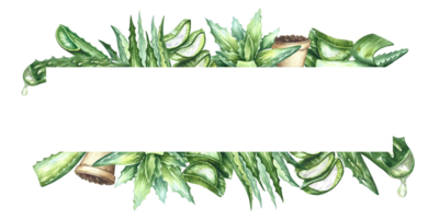 Frame with aloe. Cosmetic and healing aloe vera gel. Watercolor hand drawn illustration. For labels and packaging of cosmetology, perfumery and medicine. For stickers, prints, flyers and posters. png