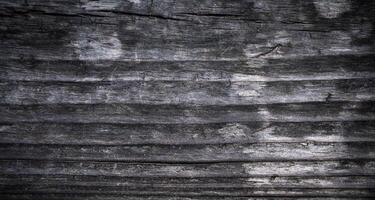 Texture of natural old wood. Close-up. Selective focus. photo