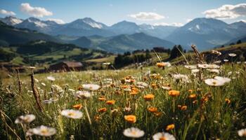 AI generated Mountain meadow, wildflowers bloom, nature vibrant tapestry generated by AI photo