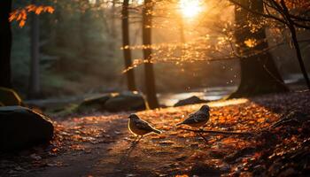 AI generated A small bird perching on a vibrant autumn tree generated by AI photo