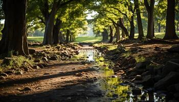 AI generated Tranquil scene of a green forest in autumn generated by AI photo