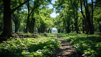 ai generado tranquilo escena de verde bosque, árbol, y luz de sol generado por ai foto